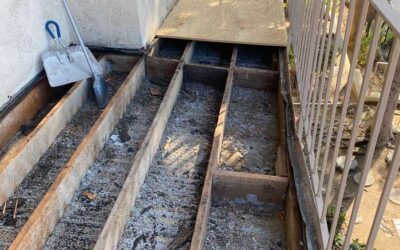 Deck Inspection and Repair